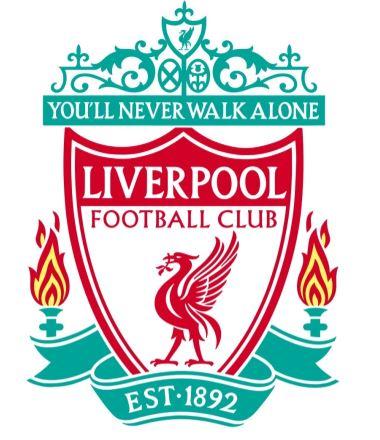 大型平台可 大型平台可