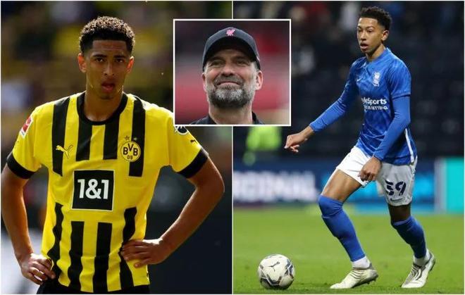 如控龙率 如控龙率